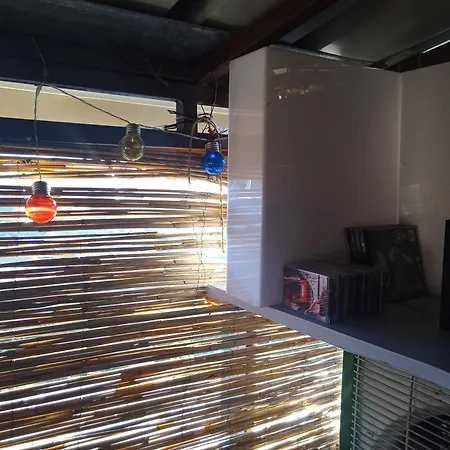 Art Banjica * Belgrad